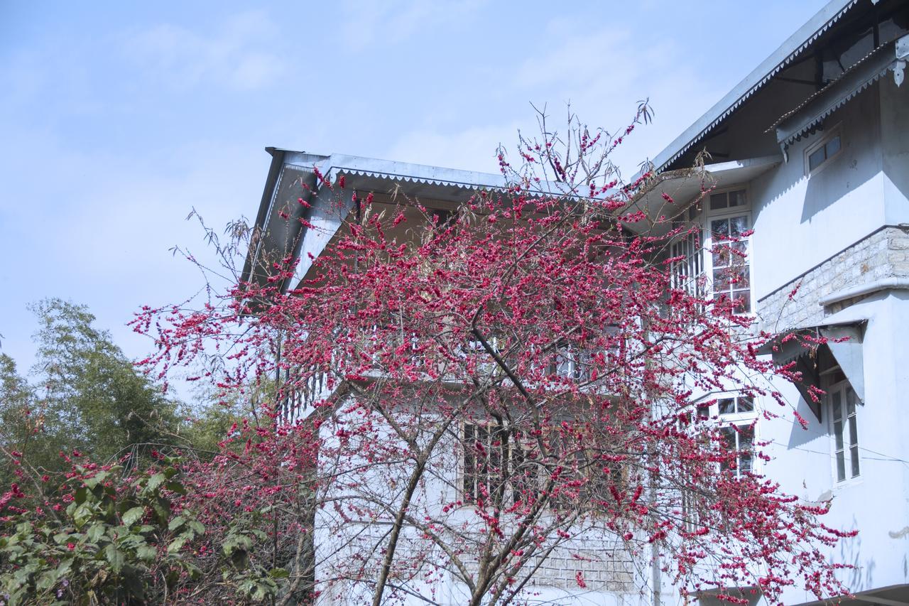 The Mazong Hotel Gangtok Kültér fotó